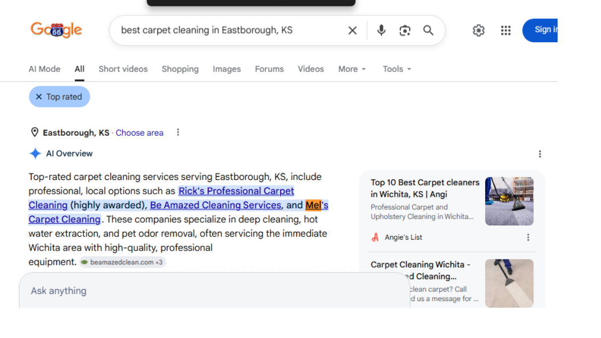 Mel's Carpet Cleaning AI search visibility proof